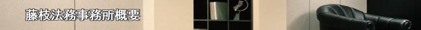 藤枝知財法務事務所概要
