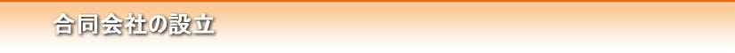 合同会社の設立